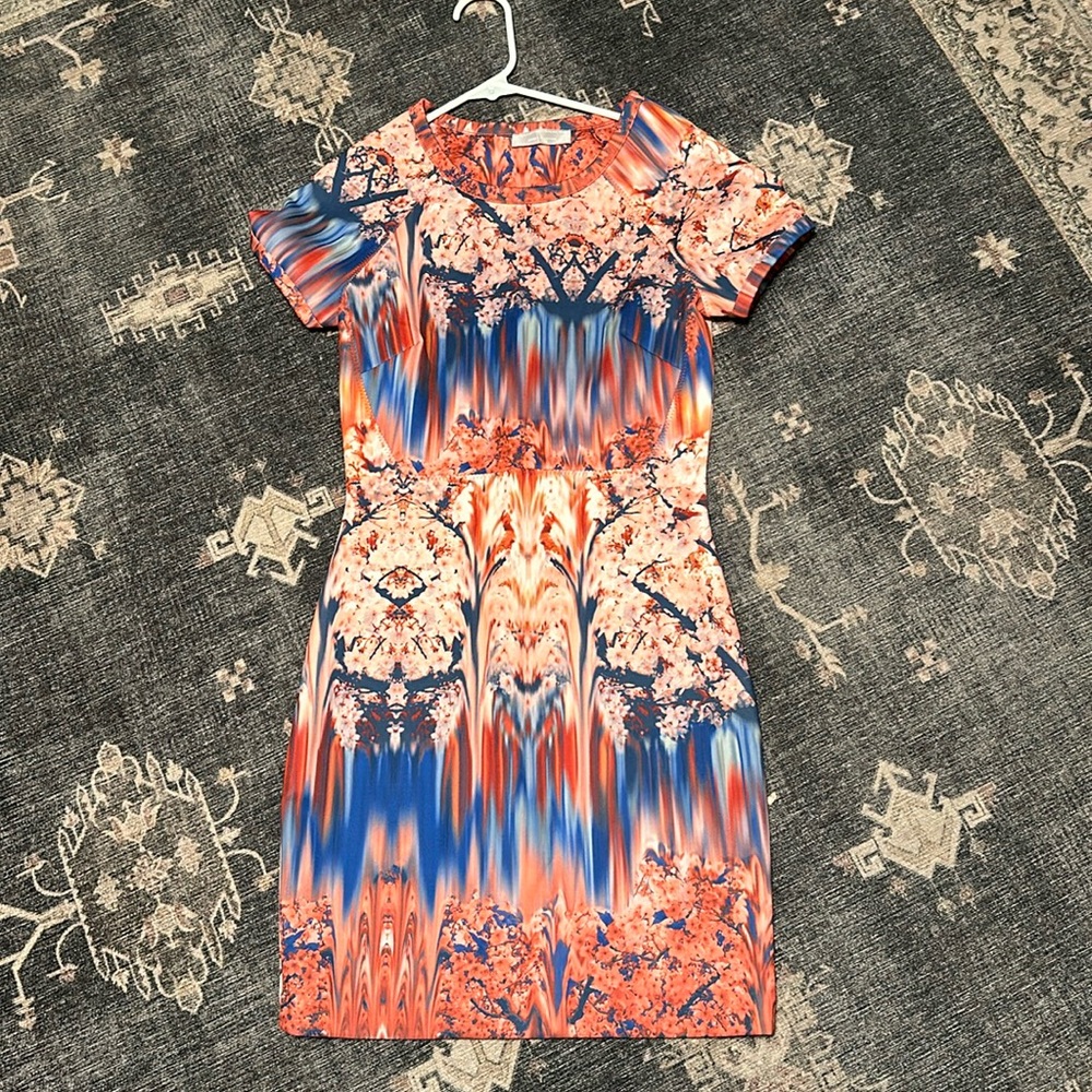 Zara dress